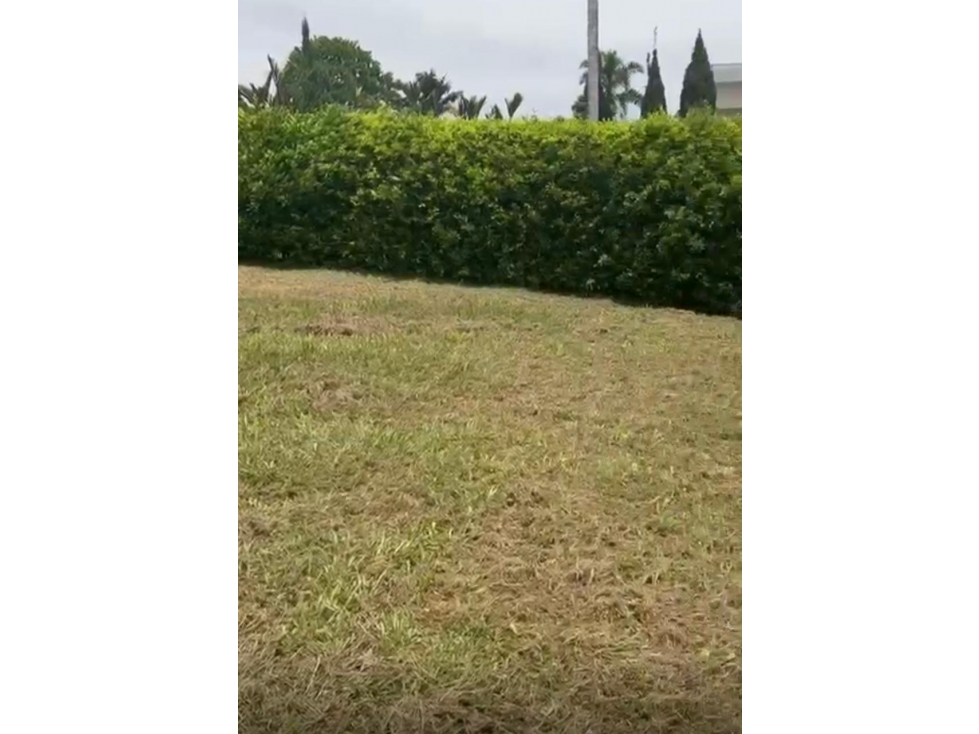 EN VENTA LOTE CAMPESTRE EN CERRITOS PEREIRA — foto 2
