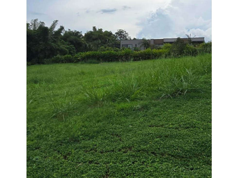 EN VENTA LOTE EN CONDOMINIO CAMPESTRE CERRITOS PEREIRA — foto 3