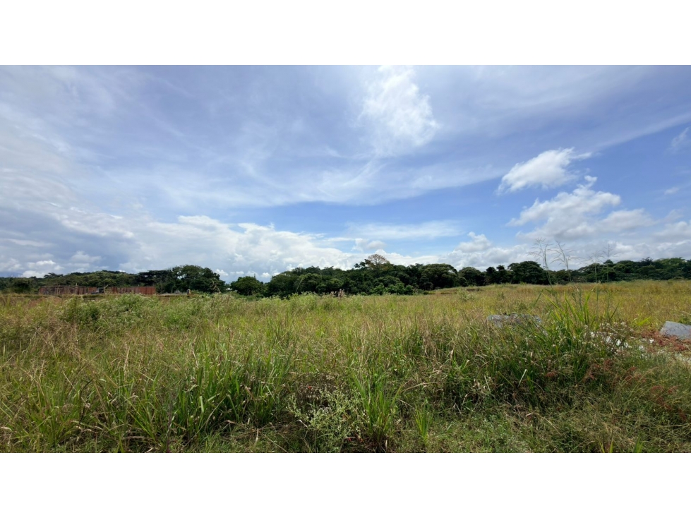 EN VENTA LOTE EN CERRITOS PERREIRA — foto 3