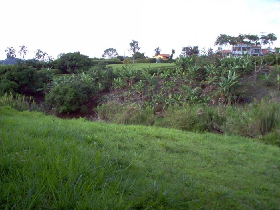 EN VENTA LOTE CAMPESTRE EN CERRITOS PEREIRA — foto 2