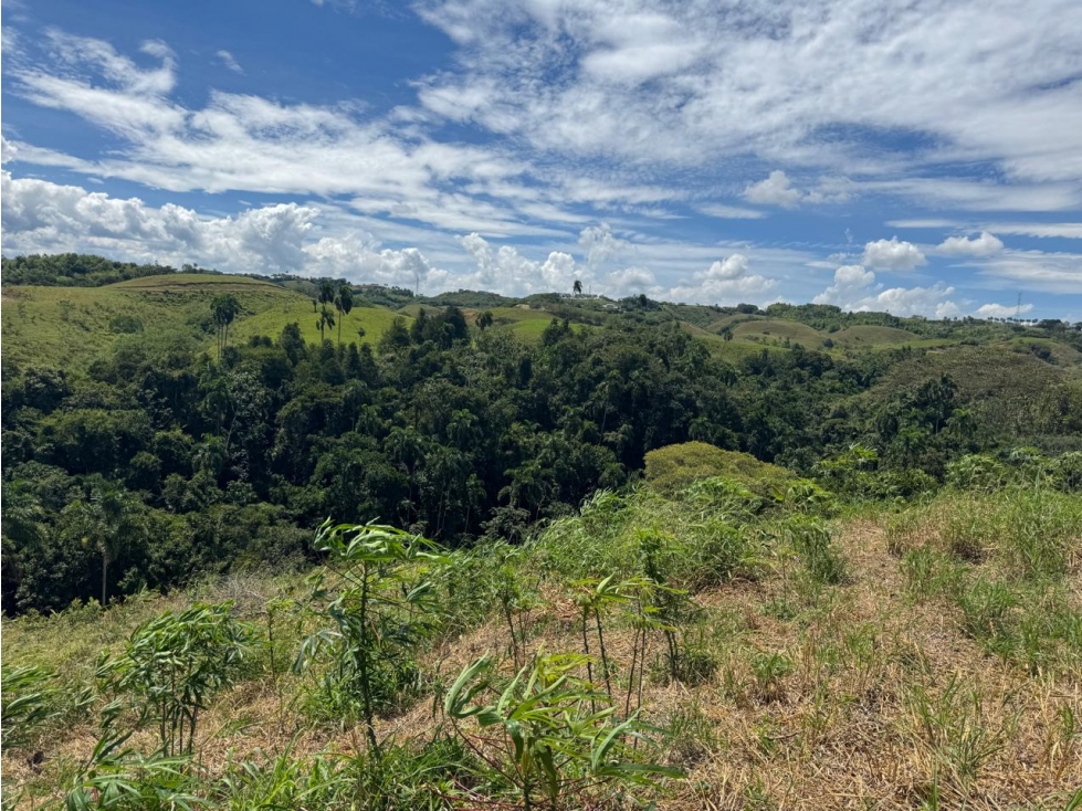 EN VENTA LOTE EN CONDOMINIO CERRITOS PEREIRA (6) — foto 6