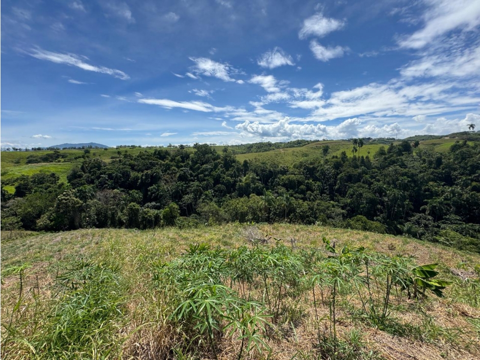 EN VENTA LOTE EN CONDOMINIO CERRITOS PEREIRA (6) — foto 2