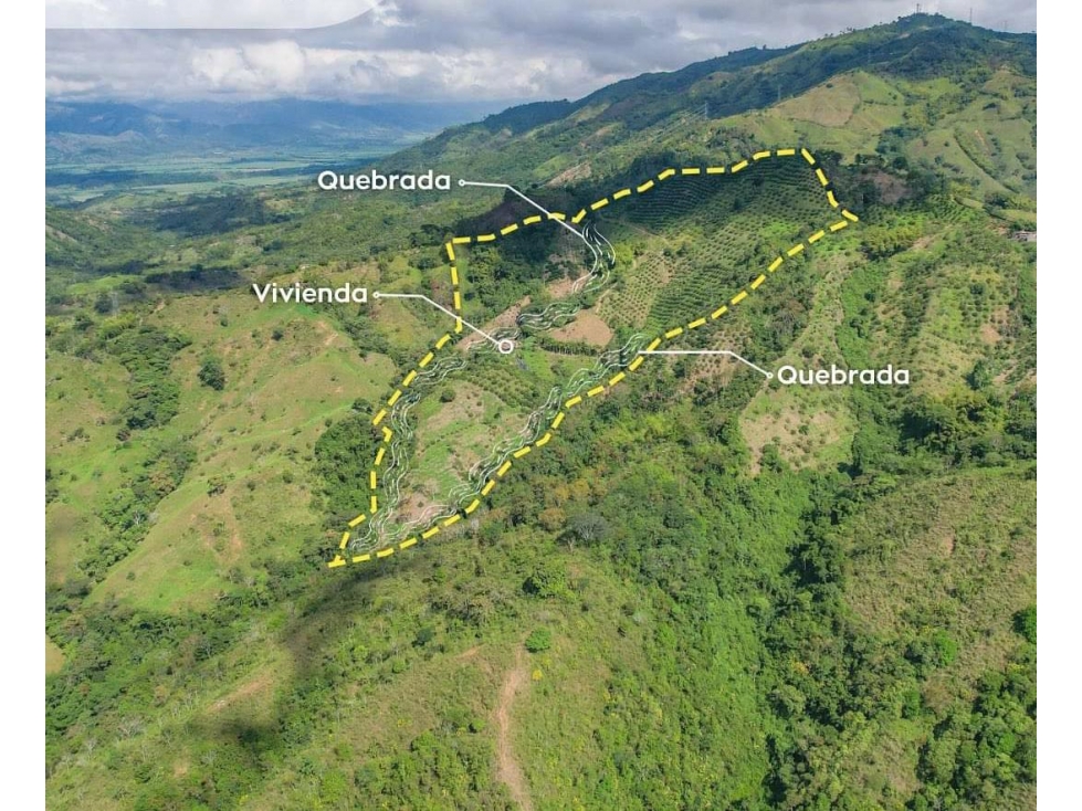 EN VENTA FINCA EN VEREDA PALMA LA VIRGINIA - 4