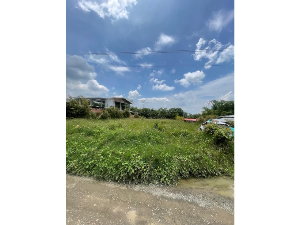 VENTA DE LOTE VEREDA LA BELLA PEREIRA — foto 4