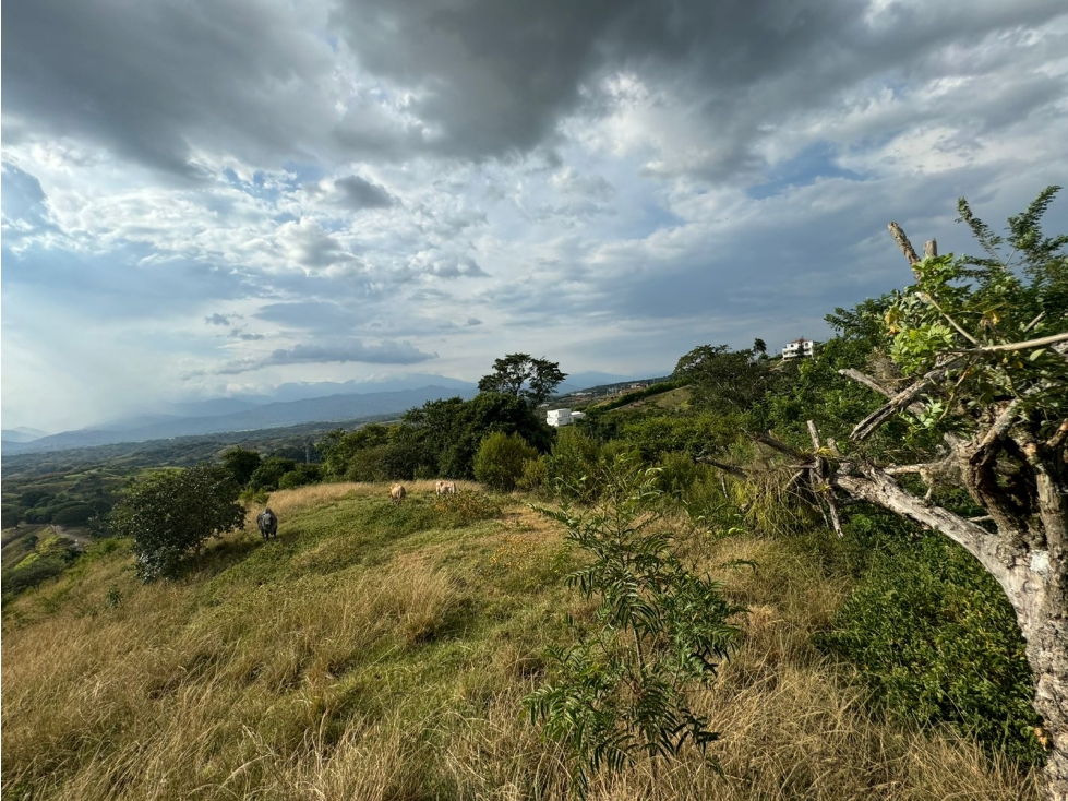 VENTA DE LOTE CON VISTA HACIA CARTAGO PEREIRA — foto 4
