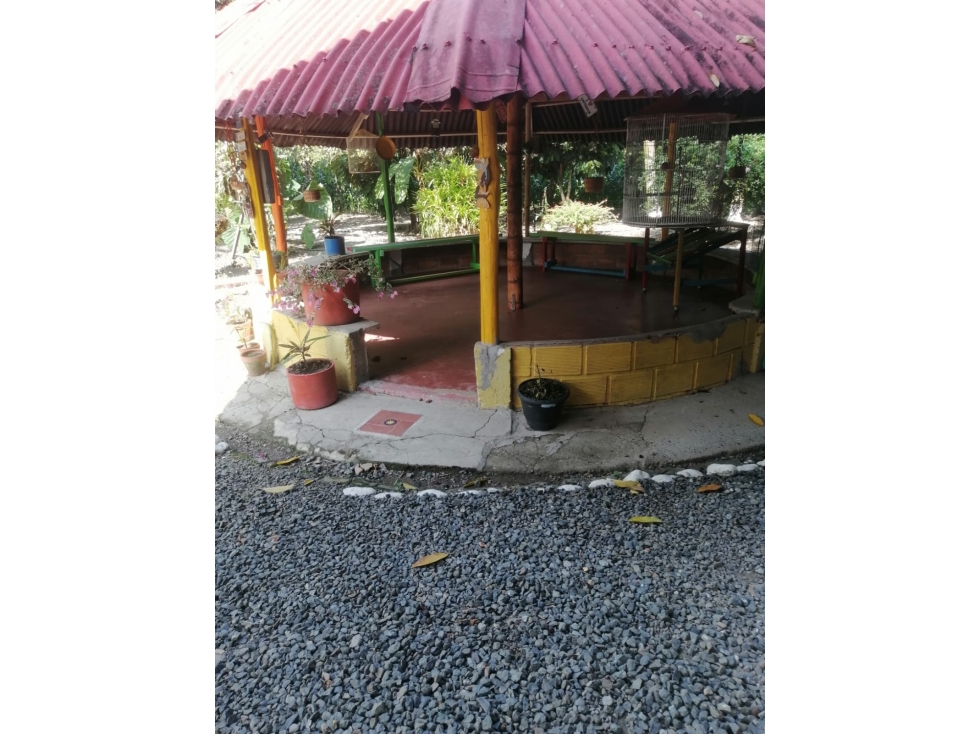 EN VENTA FINCA EN GUAYABITO CARTAGO — foto 5