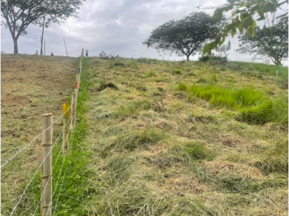 EN VENTA LOTE EN PARCELACIÓN EN ALCALÁ — foto 4