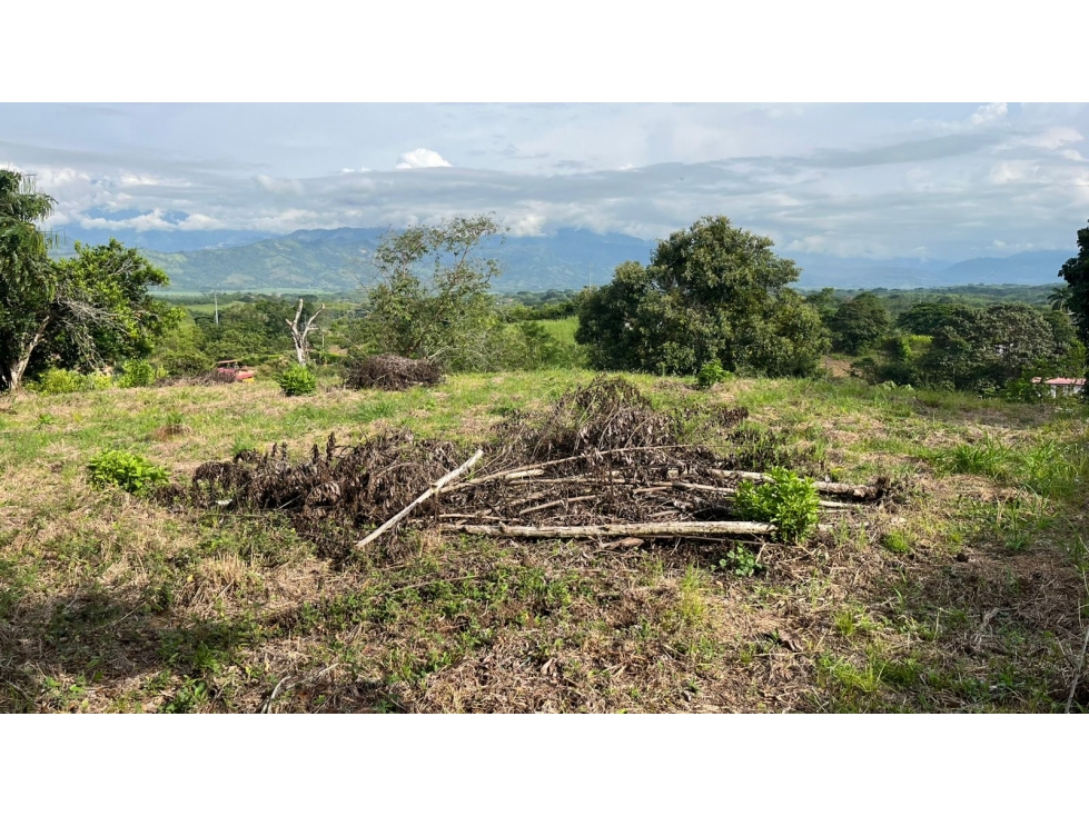 EN VENTA LOTE EN PARCELACIÓN EN BELALCÁZAR CALDAS - 4