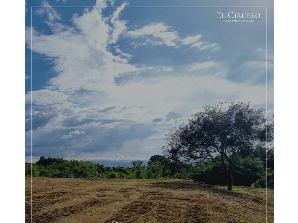 EN VENTA LOTE COMBIA PEREIRA — foto 4