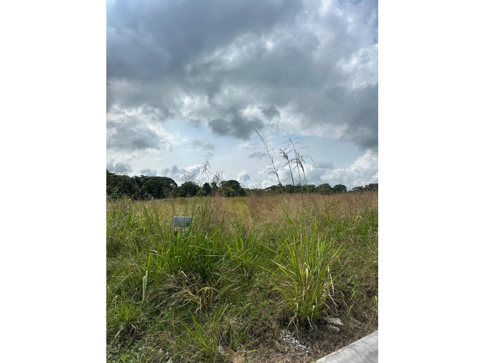 EN VENTA LOTE EN CERRITOS PERREIRA — foto 4