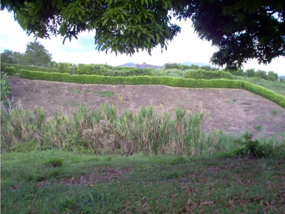EN VENTA LOTE CAMPESTRE EN CERRITOS PEREIRA