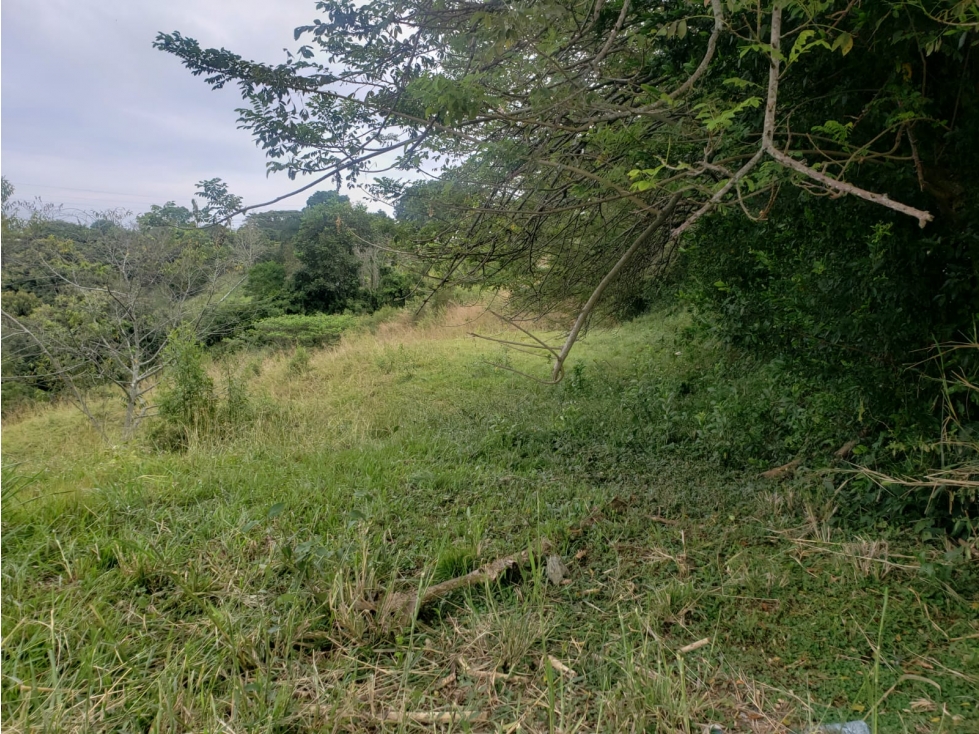 EN VENTA LOTE EN CONDOMINIO CARTAGO — foto 5