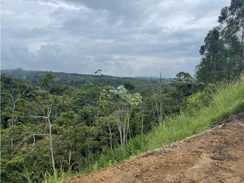 EN VENTA LOTE SEMI PLANO PEREIRA VIA ARMENIA — foto 5