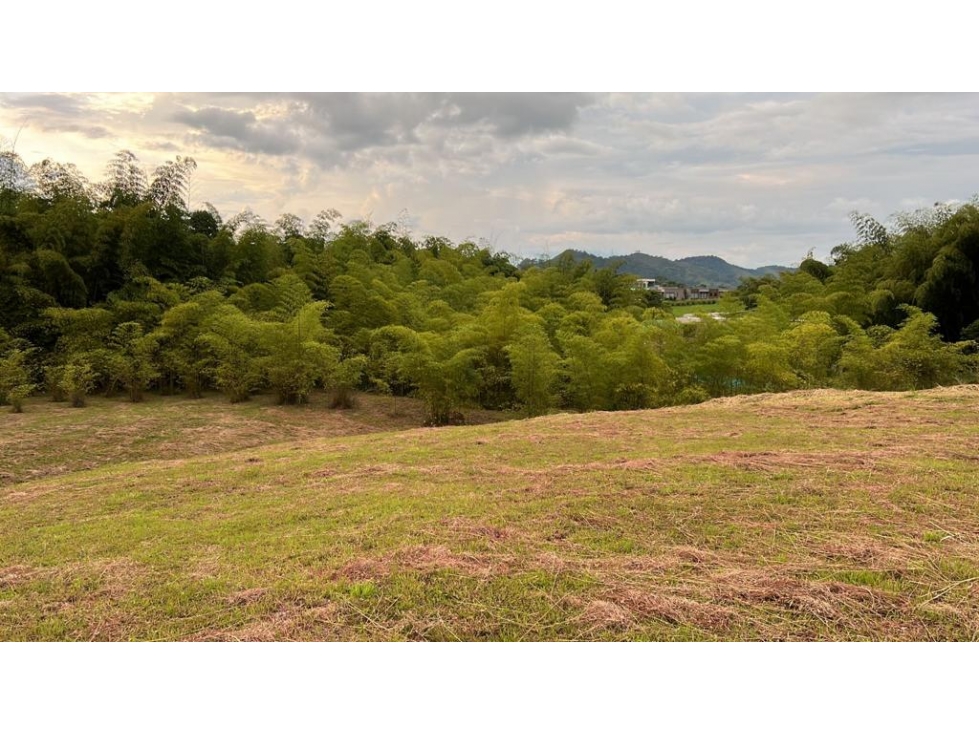 EN VENTA LOTE CAMPESTRE EN CERRITOS PEREIRA