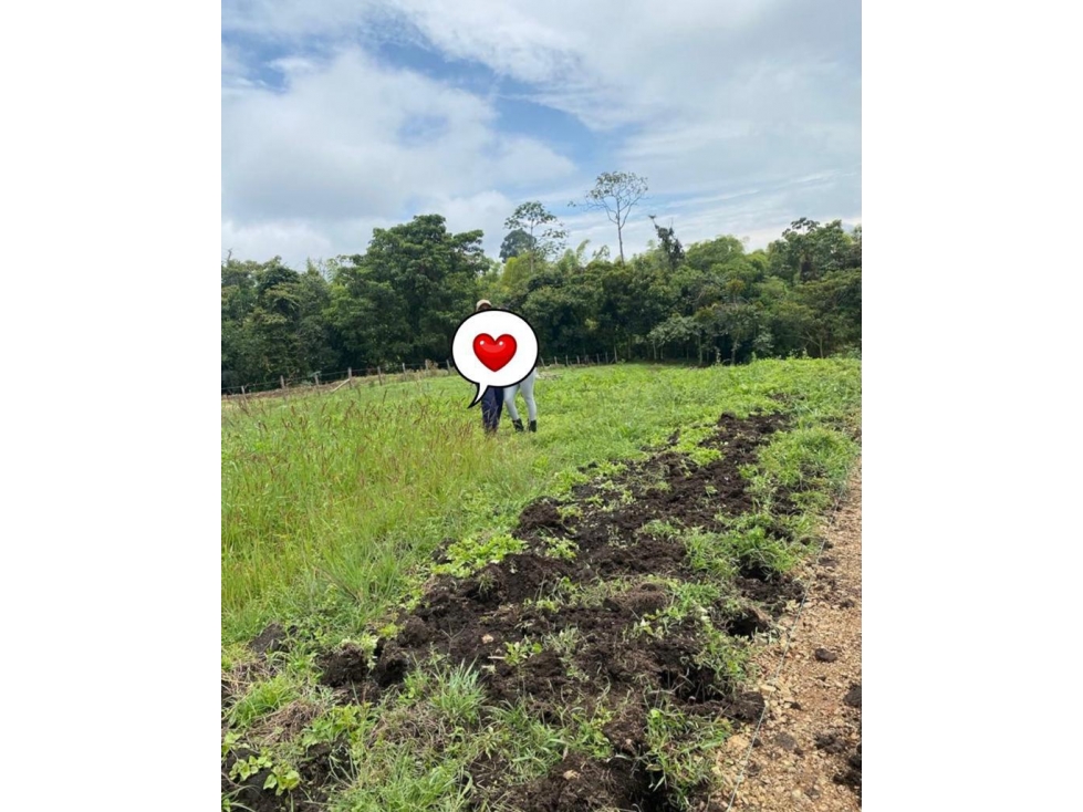 VENTA DE LOTE VEREDA LA BELLA PEREIRA — foto 6