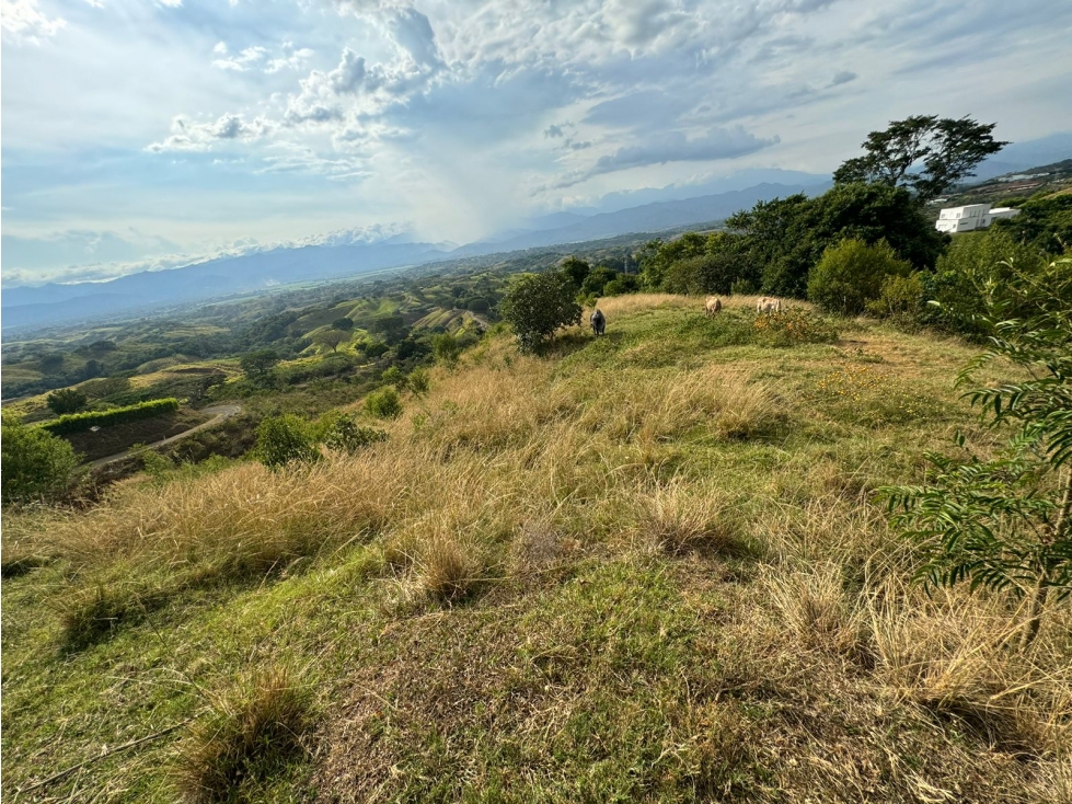 VENTA DE LOTE CON VISTA HACIA CARTAGO PEREIRA — foto 5