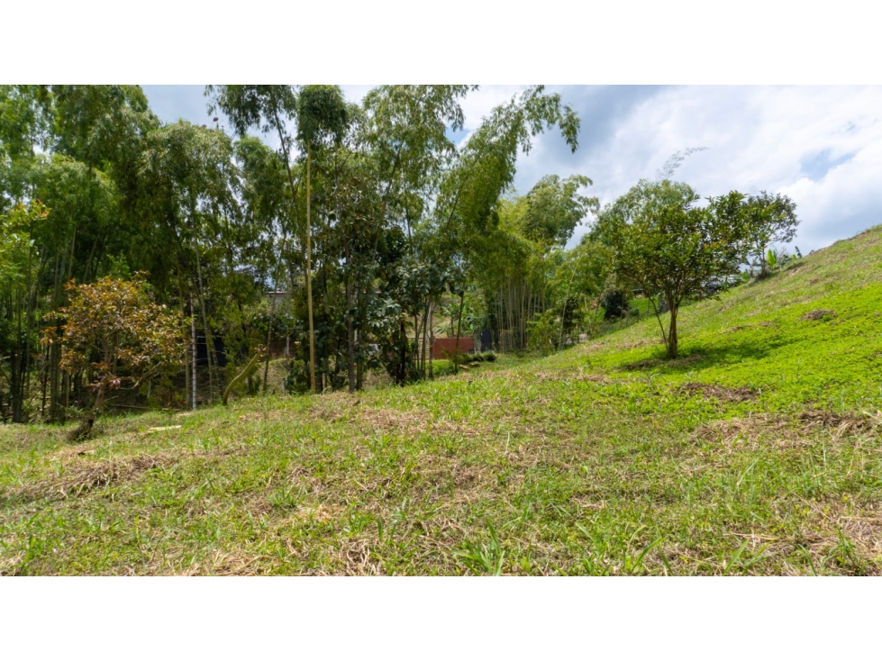EN VENTA LOTE EN VIA CONDINA PEREIRA — foto 3