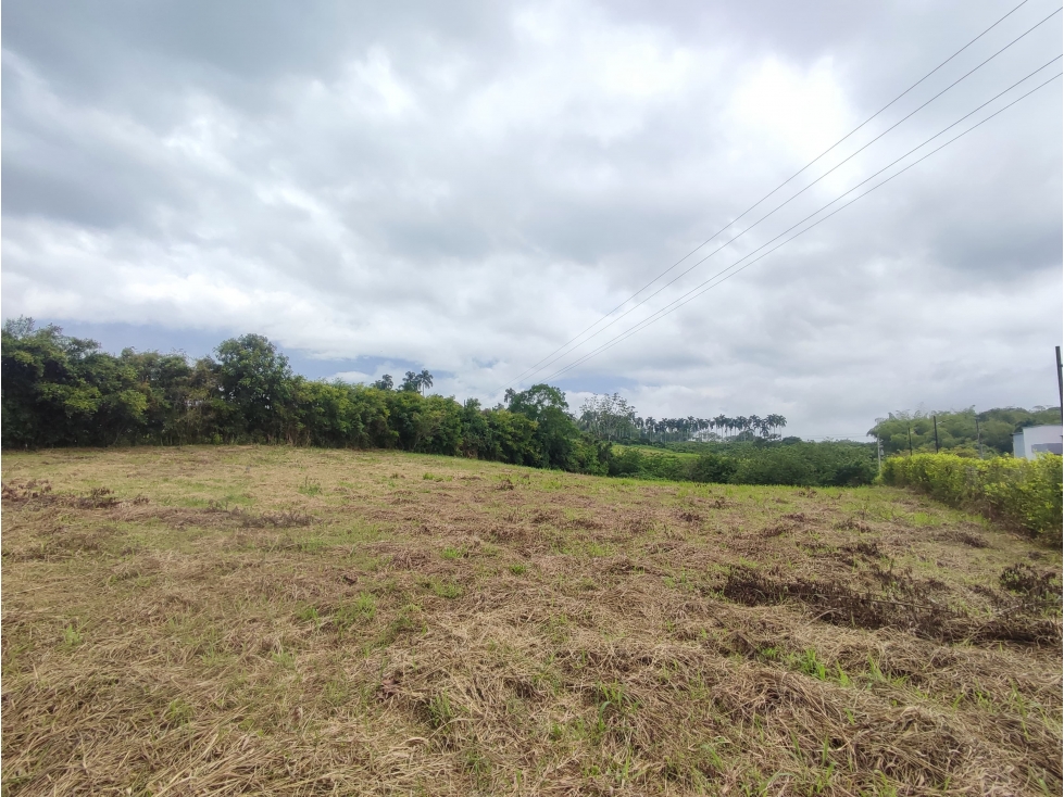 EN VENTA LOTE EN PARCELACIÓN CERRITOS PEREIRA — foto 5