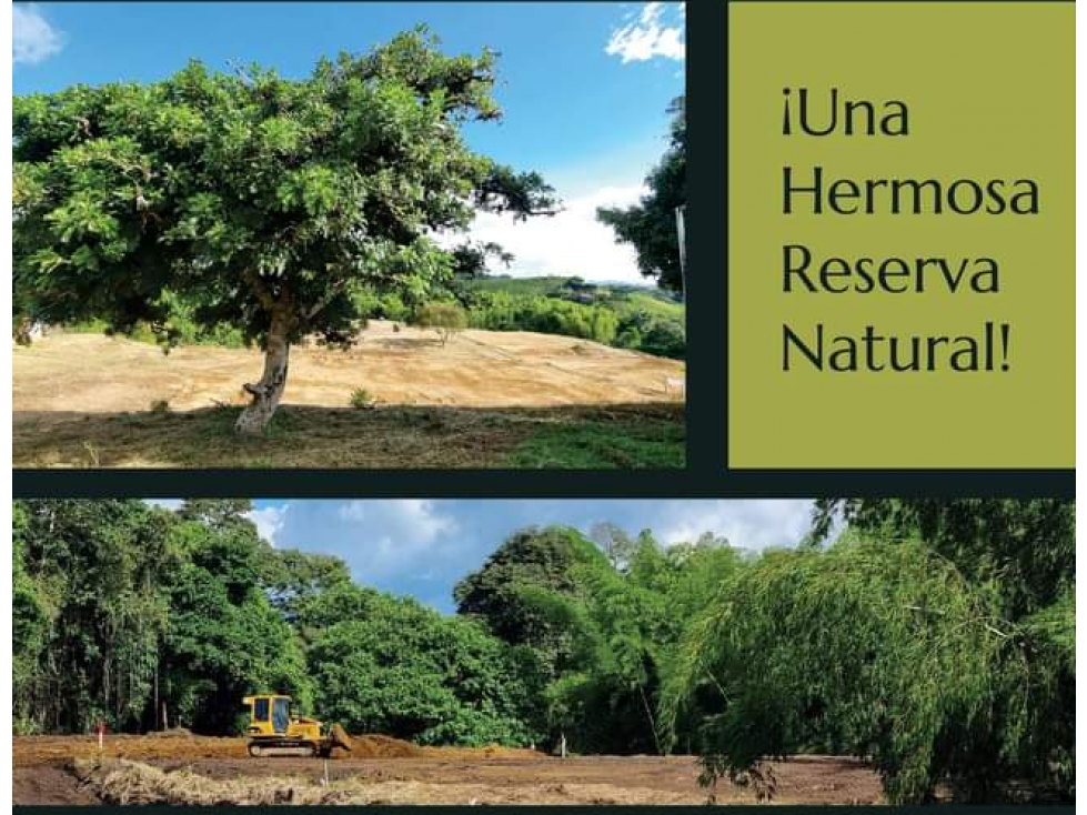 EN VENTA LOTE COMBIA PEREIRA — foto 5