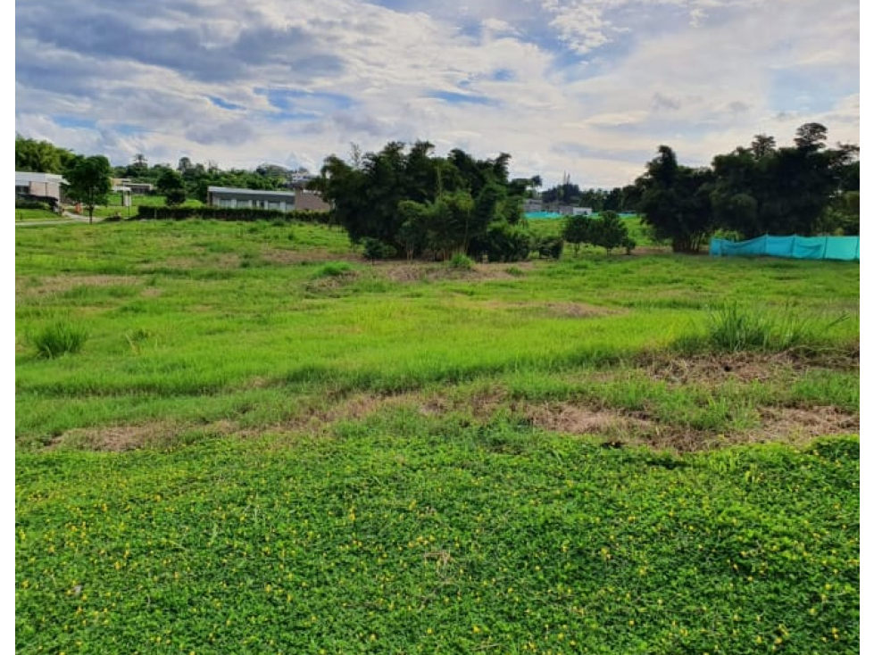 EN VENTA LOTE EN CONDOMINIO CAMPESTRE CERRITOS PEREIRA — foto 5