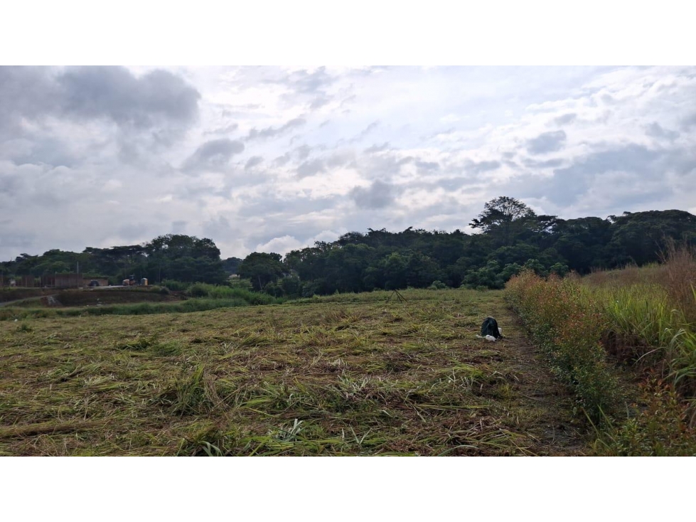 EN VENTA LOTE EN CERRITOS PERREIRA — foto 5