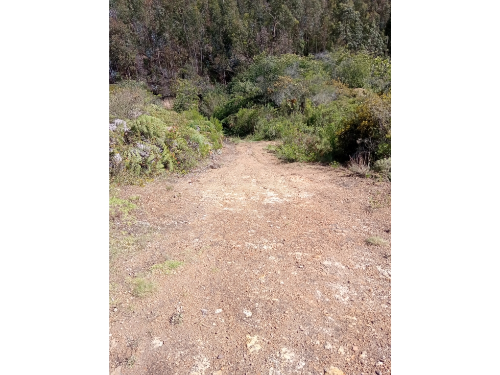 LOTE EN VENTA EN TENJO CUNDINAMARCA — foto 5