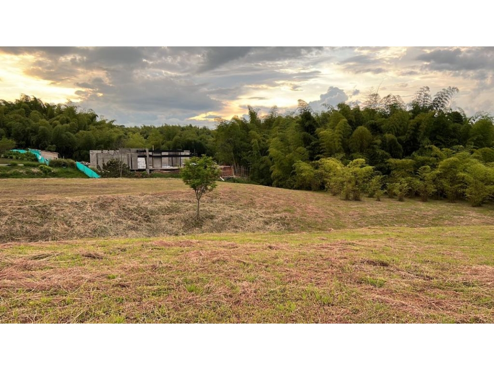 EN VENTA LOTE CAMPESTRE EN CERRITOS PEREIRA — foto 2