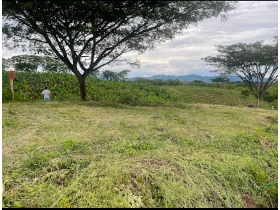 EN VENTA LOTE EN PARCELACIÓN EN ALCALÁ — foto 3