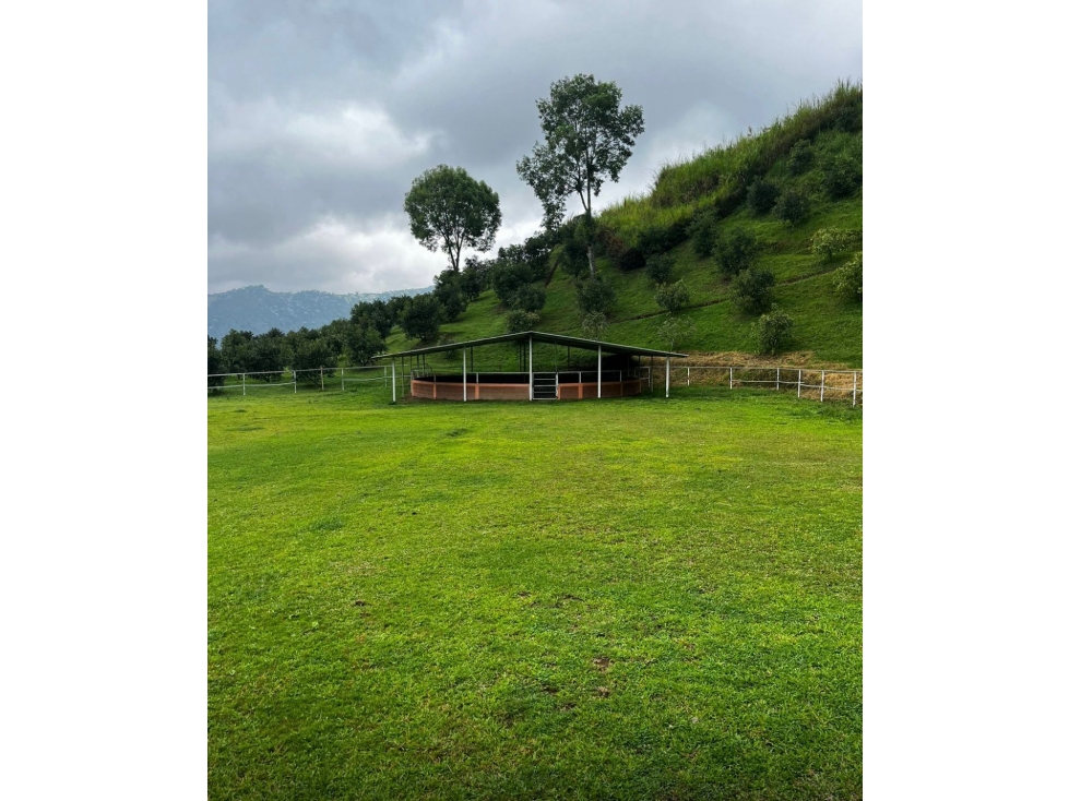 EN VENTA FINCA GANADERA Y/O DE CULTIVO EN LA FLORIDA PEREIRA — foto 2