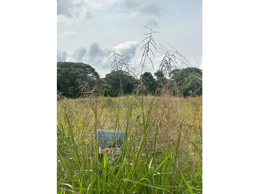 EN VENTA LOTE EN CERRITOS PERREIRA — foto 6