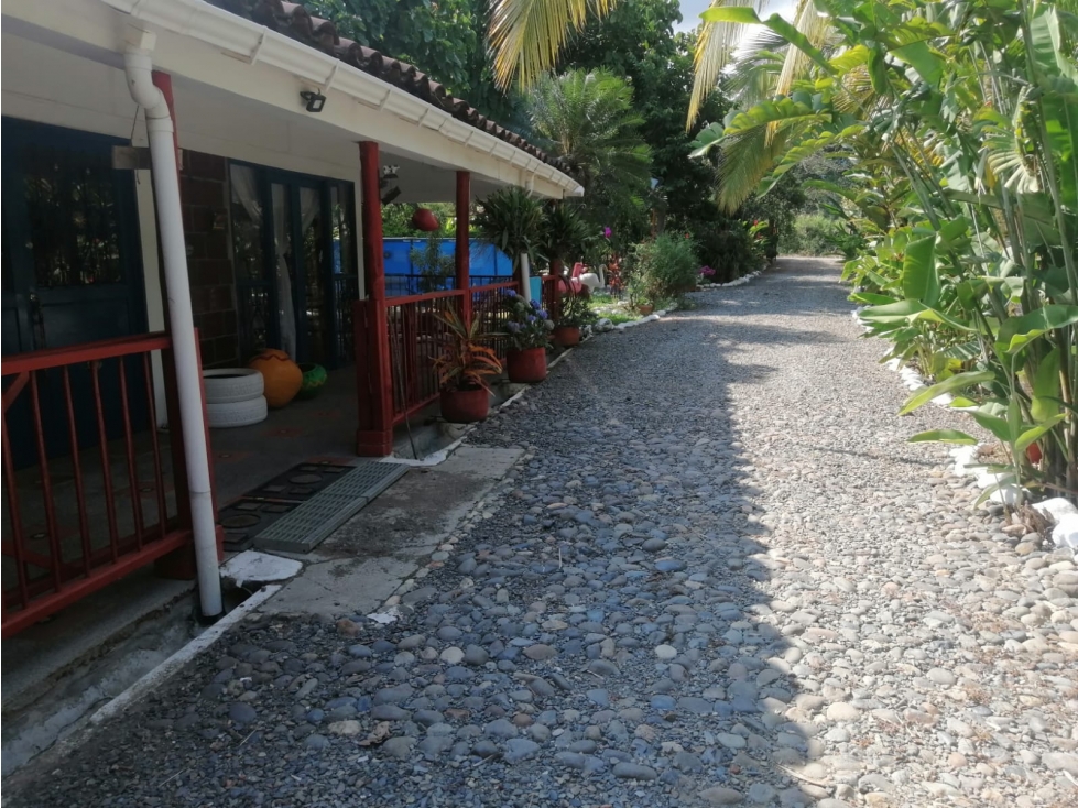 EN VENTA FINCA EN GUAYABITO CARTAGO — foto 2