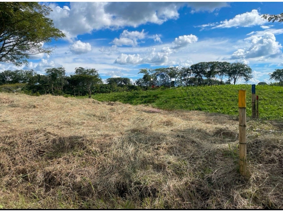 EN VENTA LOTE EN PARCELACIÓN EN ALCALÁ — foto 2