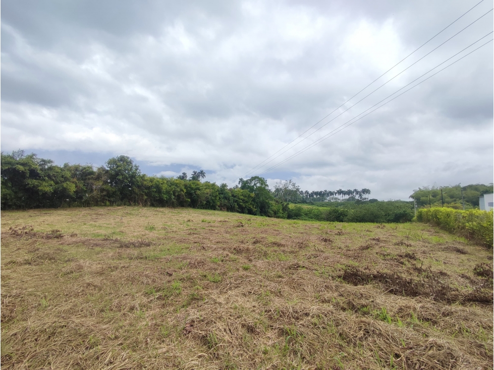 EN VENTA LOTE EN PARCELACIÓN CERRITOS PEREIRA — foto 5
