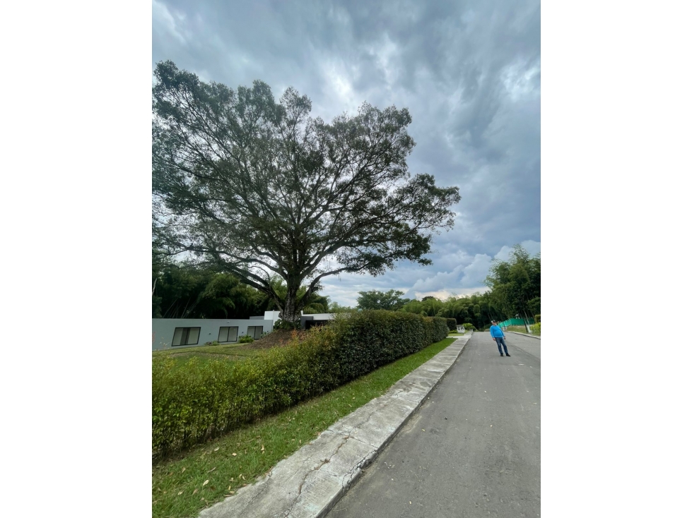 EN VENTA LOTE EN CONDIMINIO CAMPESTRE CERRITOS PEREIRA — foto 4