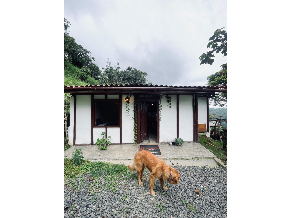 EN VENTA FINCA CAMPRESTRE VIA ARMENIA — foto 2