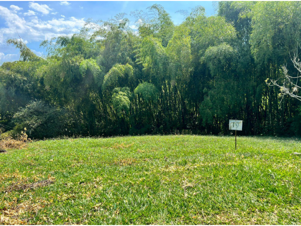 EN VENTA LOTE EN CONJUNTO CERRADO PEREIRA PUEBLITO CAFETERO — foto 4