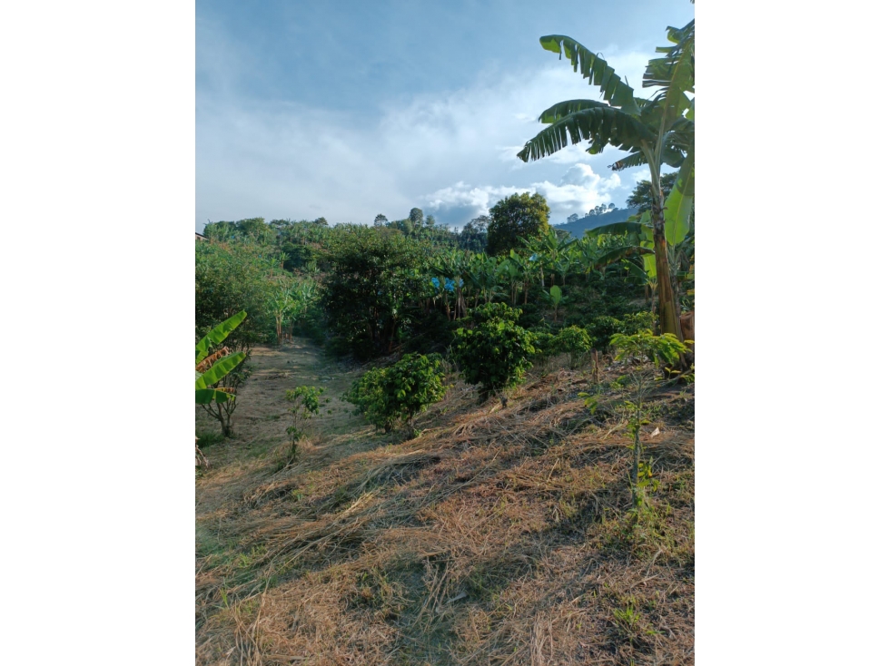 EN VENTA FINCA EN BELEN DE UMBRIA - 4