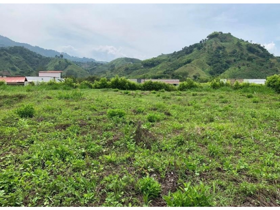 EN VENTA LOTE CAMPESTRE PLANO Y ESQUINERO EN COMBIA - PEREIRA — foto 2