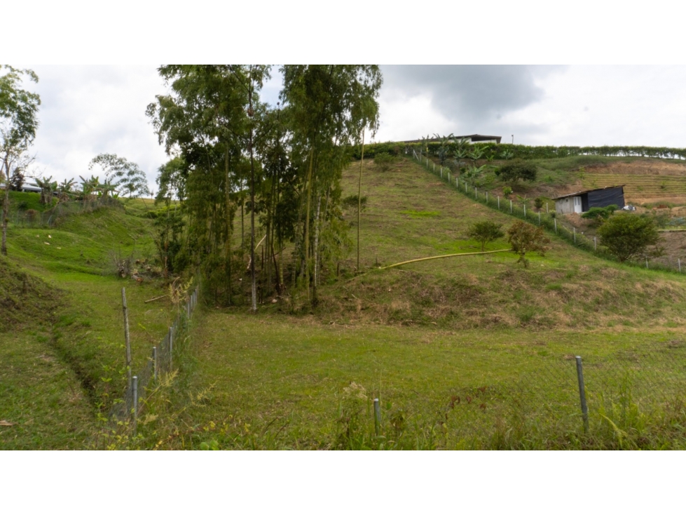 EN VENTA LOTE EN VIA CONDINA PEREIRA — foto 6