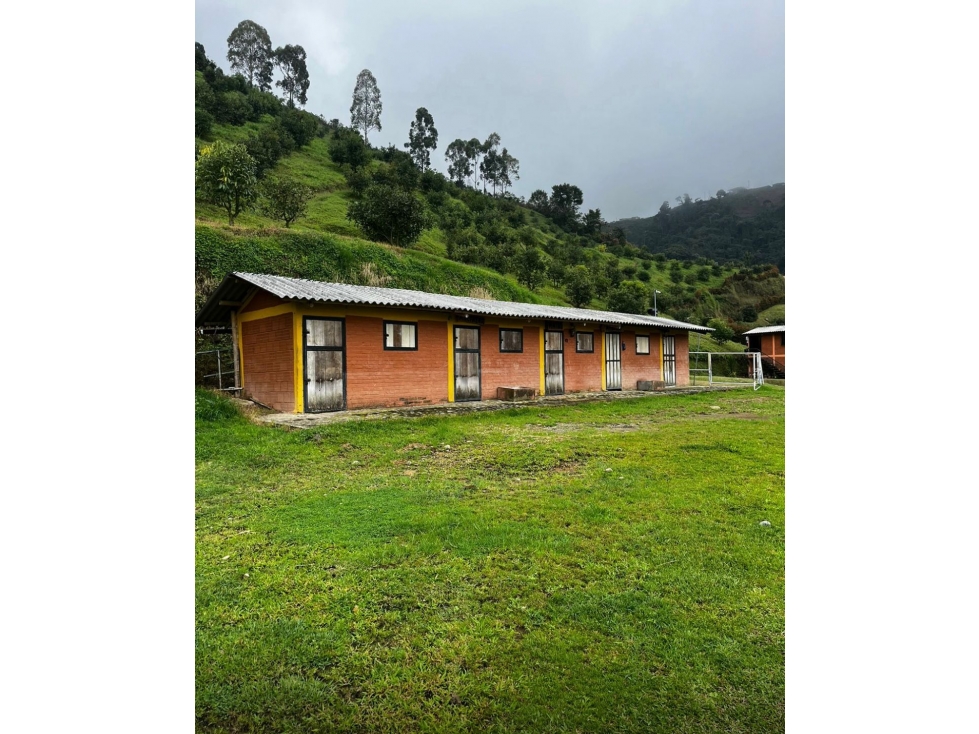 EN VENTA FINCA GANADERA Y/O DE CULTIVO EN LA FLORIDA PEREIRA — foto 4