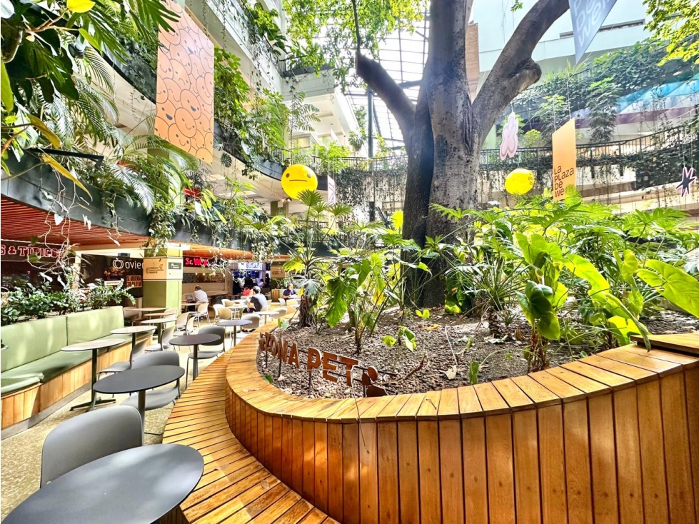 Local comercial para la renta en el C.C Oviedo — foto 3