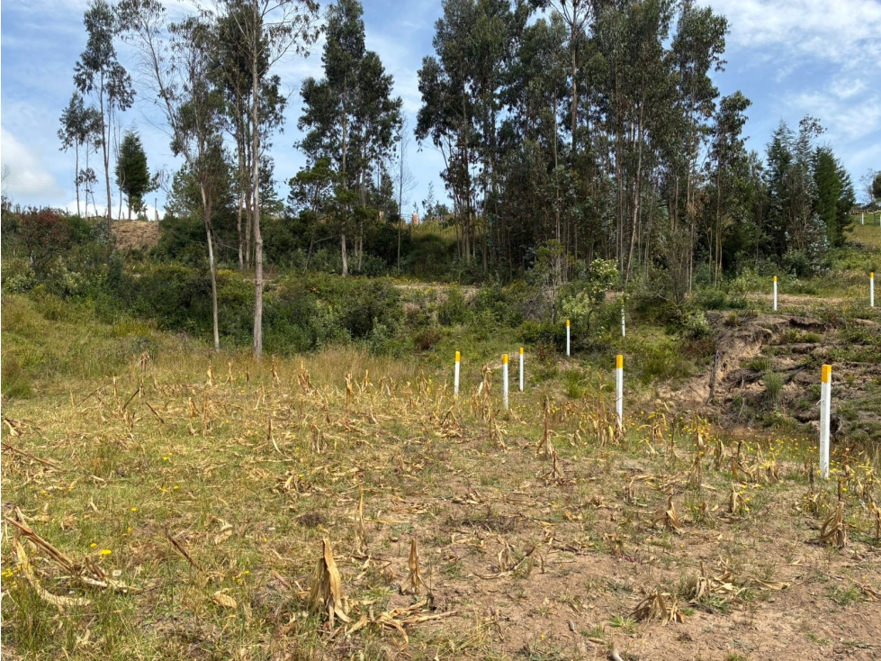 Lote para la venta en Tuta, Boyacá para la venta - 1