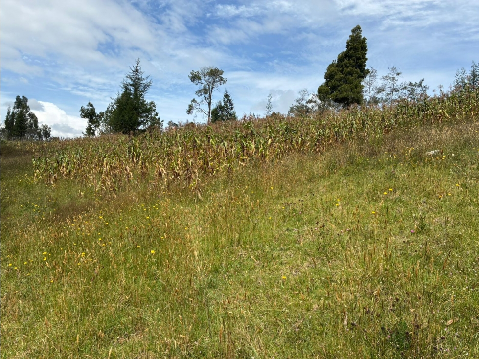Lote para la venta en Tuta, Boyacá para la venta - 2