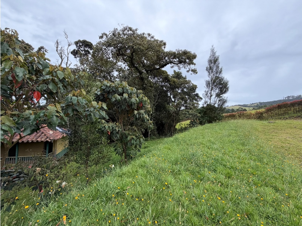 Lote para la venta en altos de palmas, en parcelación cerrada — foto 2