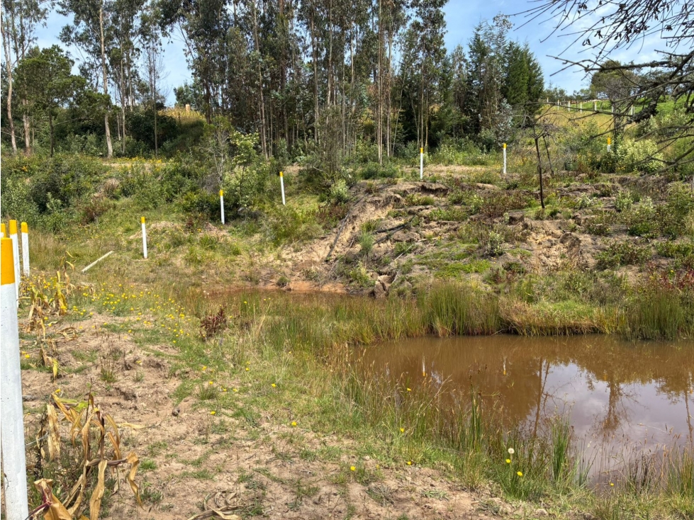 Lote para la venta en Tuta, Boyacá para la venta - 3