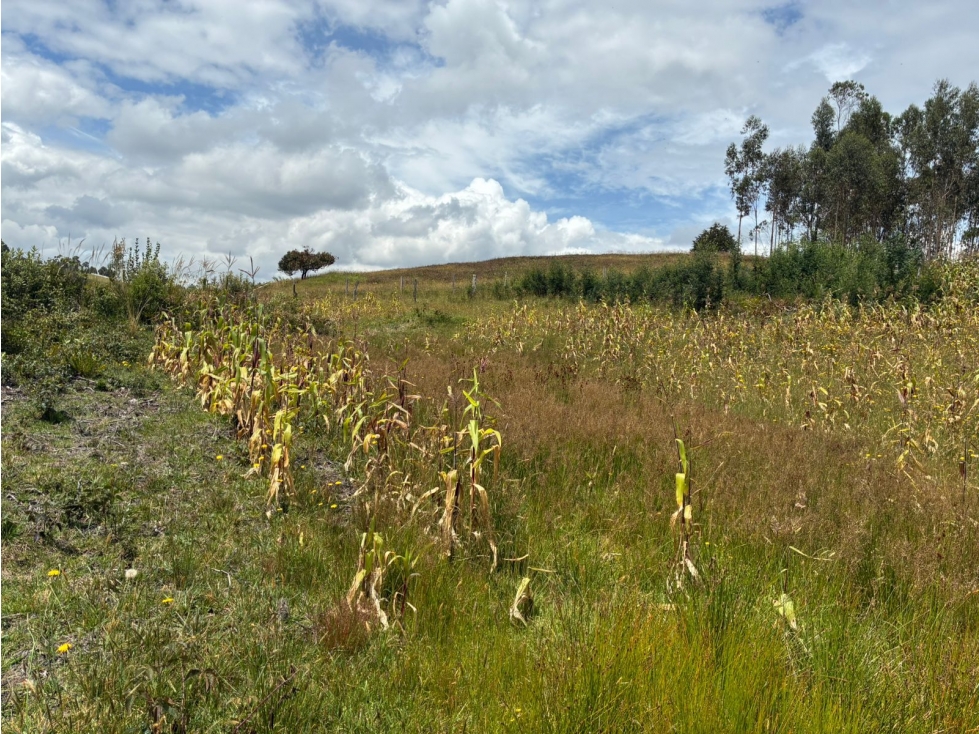 Lote para la venta en Tuta, Boyacá para la venta - 4