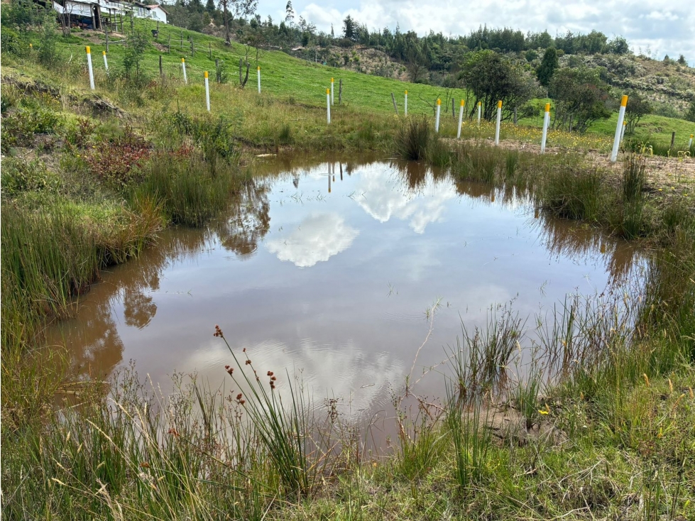 Lote para la venta en Tuta, Boyacá para la venta - 5