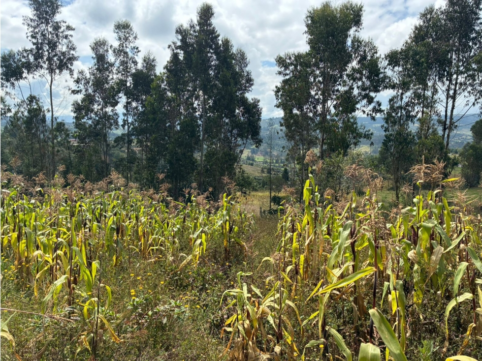 Lote para la venta en Tuta, Boyacá para la venta - 6