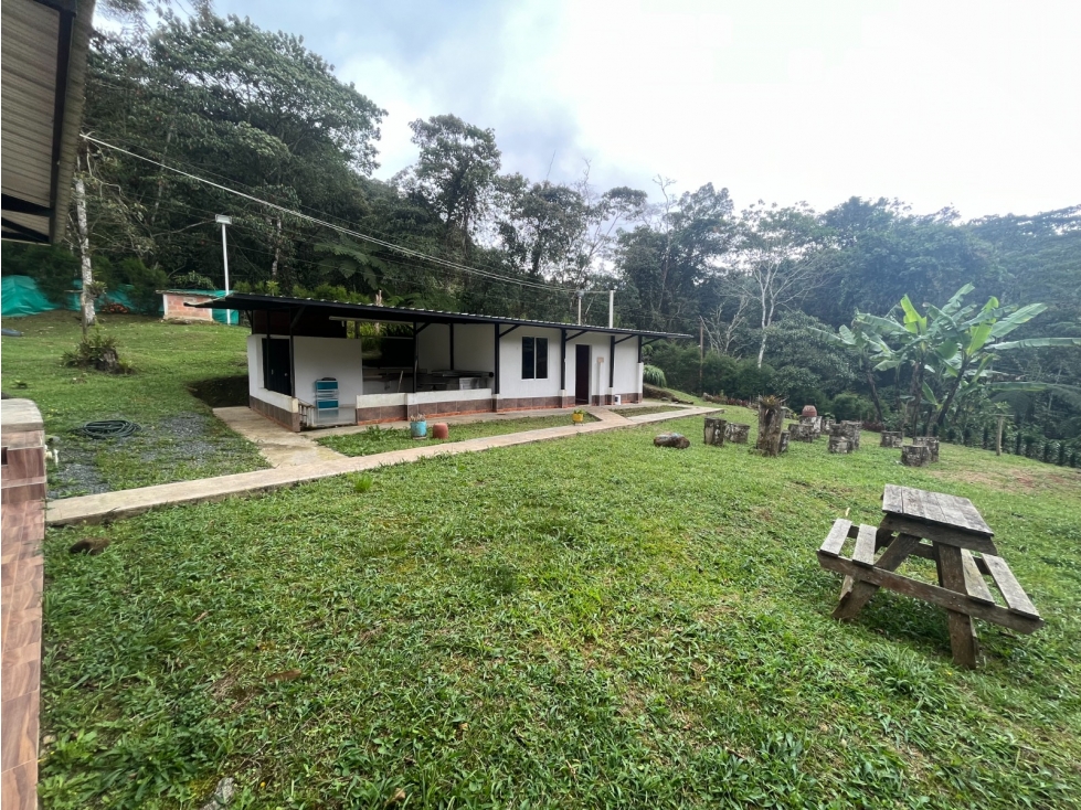 VENDO HERMOSA FINCA EN CONDOMINO EN EL KM 13 DE DAPA(MH)CW:6765513 - 3