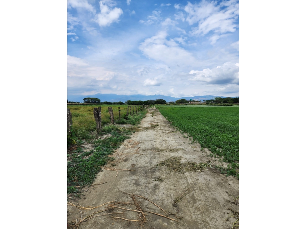 VENDO LOTE DE 85500M2 EN ROZO PARA PARCELAR FG CW:7341829 — foto 5